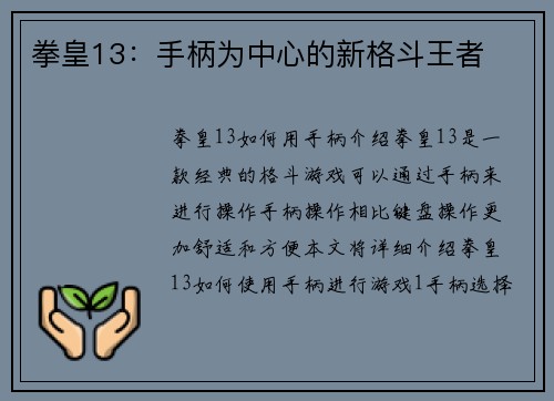 拳皇13：手柄为中心的新格斗王者